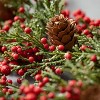 Sullivans 60" Artificial Cedar Berry Garland, Multicolor - 2 of 4