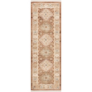 Nourison Pardis Traditional Vintage Indoor Rug - 1 of 4