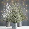 Sullivans Artificial Set of 3 Pine Trees 23"H Green - 3 of 4