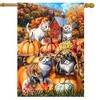 Briarwood Lane Fall House Flag 40x28 For Outdoor Pumpkin Patch Cats For Fall House Flag - 2 of 4