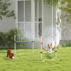 PawHut Dog Agility Training Equipment Set with Adjustable Height Jumping Ring and Hurdle, Spray Water Tube, Carry Bag, Whistle, White - 3 of 4