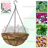 Sorbus metal hanging planter for indoor/outdoor gardens, etc - 3 of 4