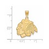 Black Bow Jewelry 14k Yellow Gold Plated Sterling Silver Chicago Blackhawks NHL Large Pendant - 2 of 3