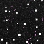 boston red sox 1976-2008