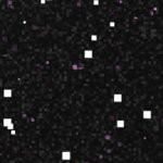 boston red sox 1976-2008