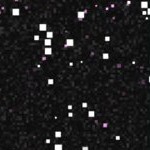 boston red sox 1976-2008