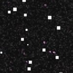 boston red sox 1976-2008