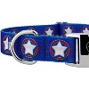 Country Brook Petz Premium Dog Collar - Americana Collection - 4 of 4