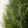 DR.Planzen 4-5FT Artificial Cedar Tree - Faux Indoor/Outdoor Floor Plant with 16" Plastic Planter (3 Color Options) - 4 of 4