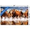 Trends International Horses Unframed Wall Poster Prints - 3 of 4