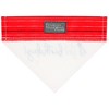 Pavilion Gift Company - It's My Birthday - 7" x 5" Canvas Slip on Pet Bandana - Pet Toy - 3 of 4