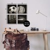 Stupell Industries Sports Balls Photography, 12" x 12" (Set of 4) - 3 of 4