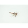 Collectible Wildlife Gifts | Dragonfly,  Rubber Insect, Educational, Realistic Hand Painted,  Model,   Gift,   2"   US15 B44 - 4 of 4
