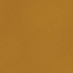 arizona state sun devils