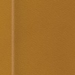 arizona state sun devils