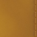 arizona state sun devils