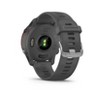 Garmin Forerunner 255 - Slate Gray : Target