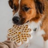 Dexypaws: Hide & Seek Slow Feeder, Buttercream, Meal & Treat Feeding - 3 of 4