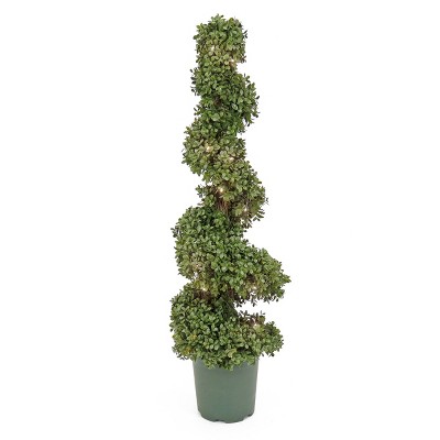 National Tree Company 44" Pre-Lit Boxwood Spiral Topiary: LED, Battery-Operated, Indoor/Outdoor