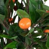 Northlight 34" Artificial Orange Citrus Tree in Black Pot - 4 of 4