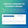 Youtheory Ashwagandha - Vegan Stress Support Supplement with KSM-66 & Ginger Extract - Low Sugar - Diary, Gluten & Soy-Free - Blueberry, 60 Gummies - 4 of 4