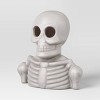 Lit Plastic Skeleton Bust Figurine - Hyde and EEK! Boutique™ Gray - 3 of 3