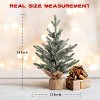 24 Inch Pre-Lit Tabletop Christmas Tree, Frosted Mini Pine with Red Berries, 50 Warm Lights, Holiday Centerpiece for Home, Office Desk, Green - 2 of 4