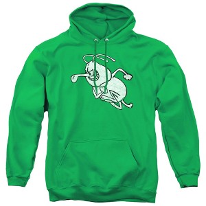 University of Arkansas at Monticello Official Distressed Primary Adult Pull-Over Hoodie - 1 of 4