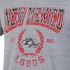 NCAA New Mexico Lobos Men's Gray Triblend T-Shirt - 3 of 3