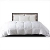 Continental Bedding Siberian 800 Fill Power 100% White Goose Down in 100% Cotton European Duvet Insert - image 2 of 2