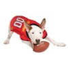 NCAA Maryland Terrapins Mesh Pets Jersey - M - 3 of 4