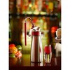 iSi NA Gourmet Whip Rapid Infusion Tool Set 5pc - 4 of 4