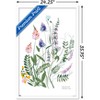 Trends International Botanical Collection - Wild Flowers Framed Wall Poster Prints - 3 of 4