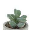 Unique Bargains Artificial Plants Flocked Cactus Fruit in Mini Pulp Plastic Green 2.56"x2.56"x3.74" 1 Pcs - 4 of 4