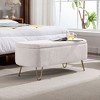 Modern Faux Fur Entryway Bench Upholstered Padded with Storage - 2 of 4