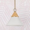 Mitzi Mica 1 - Light Pendant in  Aged Brass - 2 of 4