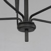 Maxim Lighting Vela 5 - Light Chandelier in  Black - 2 of 4