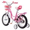 RoyalBaby Little Swan Carbon Steel Kids Bicycle with Dual Hand Brakes, Adjustable Seat, Folding Basket, & Kickstand, for Girls Ages 5 to 9 - 3 of 4