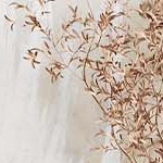 black wood grain + original wood color