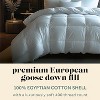 ComfyDown RoyalRest 750+ Fill Power Down Comforter - 100% Cotton Cover (Queen  86" x 82")  Made in USA - 2 of 4