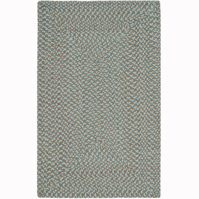 Braided BRD170 Hand Woven Area Rug - Safavieh