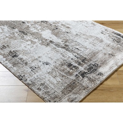 Hauteloom Taszi Living Room, Bedroom Area Rug - Contemporary - High Pile