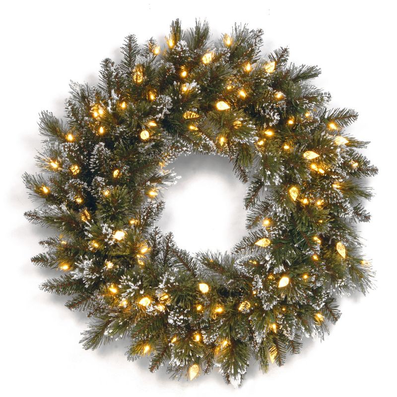 24" Prelit LED Glittery Bristle Pine Artificial Wreath White Lights - National Tree Company, 1 of 6
