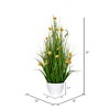 Vickerman Artificial Yellow Potted Artificial Cosmos and Grass - 3 of 4