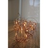 Perfect Holiday 10 LED Rose Gold Diamond String Fairy Lights - Battery Operated - 4 of 4