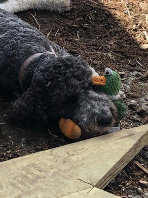 Guest review image 1 of 1, zoom in