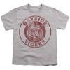 Boys' Short Sleeve Saved By the Bell Tigers T-Shirt - 2 of 4