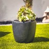 Rosemead Home & Garden, Inc. Weathered Concrete Outdoor Planter Pot Black - 2 of 4