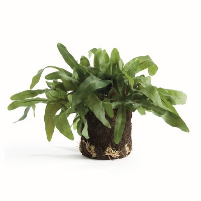Plum & Post Echeveria Fern Artificial Plant Drop-In