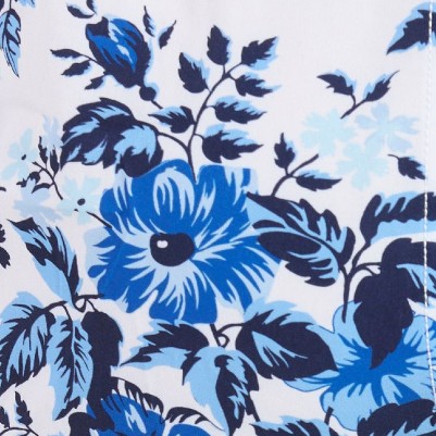 blue blooms